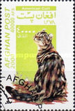 [Cats, Tipi AUV]