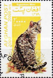 [Cats, Tipi AUU]