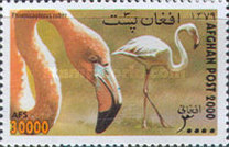 [Fauna - Birds, type AVC]