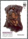 [Dogs, Tüüp AWR]