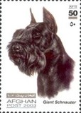 [Dogs, Tüüp AWV]