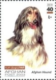 [Dogs, Tüüp AWU]