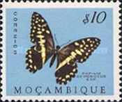 [Butterflies and Moths, type DD]