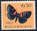 [Butterflies and Moths, type DR]