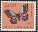[Butterflies and Moths, type DM]