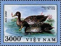 [Ducks, 类型 ATE]