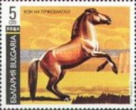 [Horses, タイプ ELD]