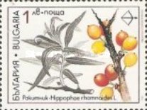[Medicinal Plants, typ ENF]