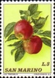 [Fruits, Tipo AAA]