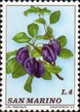 [Fruits, Tipo AAB]