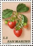 [Fruits, Tipo AAC]
