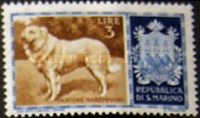 [Dog Breeds, Tipe IE]