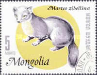[Mongolian Fur Industry, 유형 NC]