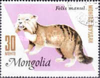 [Mongolian Fur Industry, 유형 NG]