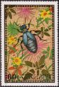 [Beetles, type XP]