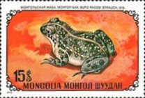 [Reptiles, type YR]