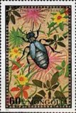 [Beetles, type XT]