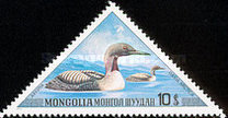 [Aquatic Birds, typ ABR]