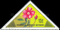 [Mongolian Flowers, වර්ගය ACQ]