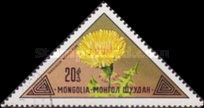 [Mongolian Flowers, වර්ගය ACR]