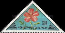 [Mongolian Flowers, වර්ගය ACS]
