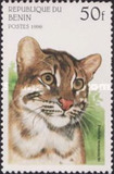 [Wild Cats, Typ TE]