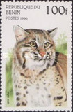 [Wild Cats, Typ TG]