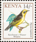 [Birds, type VJ]