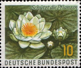 [Protection of Nature, Typ DJ]