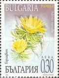 [Spring Flowers, 유형 FHS]