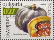 [Watermelons & Pumpkins, 類型 XKL]