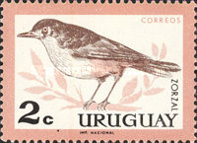 [Birds, type PE]
