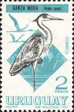[Birds, tipas TX]