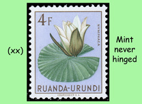 [Indigenous Flora, Tipi BJ]