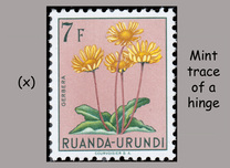 [Indigenous Flora, Tipi BL]