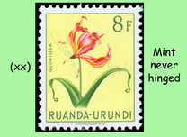 [Indigenous Flora, Tipi BM]