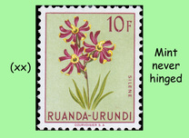 [Indigenous Flora, Tipi BN]