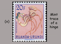 [Indigenous Flora, Tipi BO]