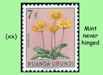 [Indigenous Flora, Tipi BL]