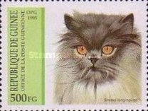 [Cats, type APJ]