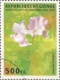 [Flowers, Scrivi AQN]