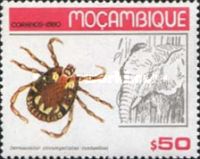 [Ticks, type NT]