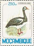 [Birds, प्रकार PF]