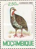 [Birds, प्रकार PD]