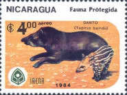 [Airmail - Wildlife Conservation, type BNR]