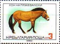 [Horse Breeds, type DAO]