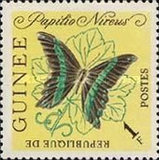 [Butterflies, típus BN]