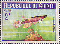[Guinea Fish, 类型 BW]