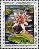 [Water Lilies, típus TP]