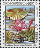 [Water Lilies, típus TR]